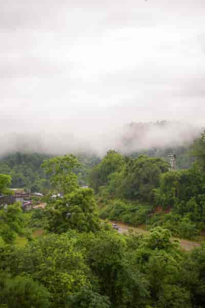 IMG05985