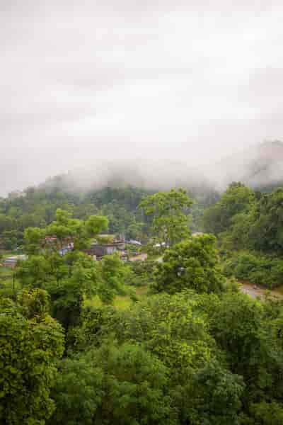 IMG05989