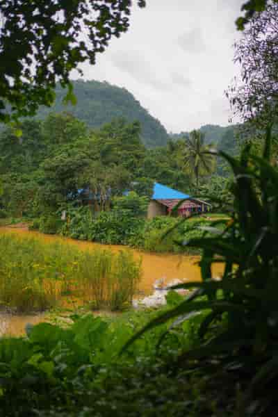 IMG06041