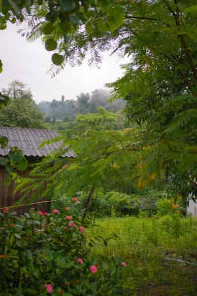 IMG06311