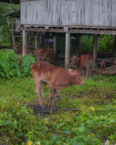 IMG06321