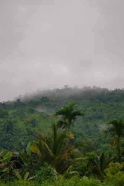 IMG06329
