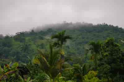 IMG06331