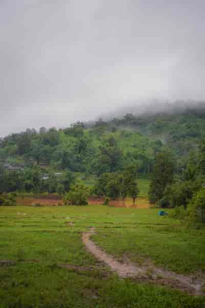 IMG06339