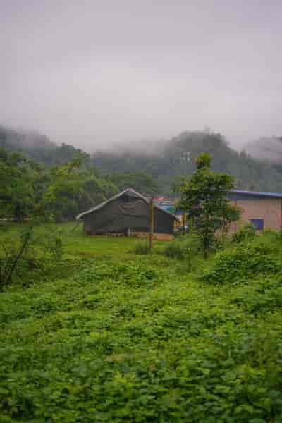 IMG06351