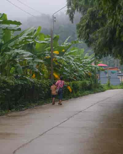 IMG06353
