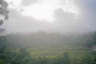 IMG06435