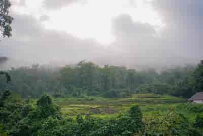 IMG06436