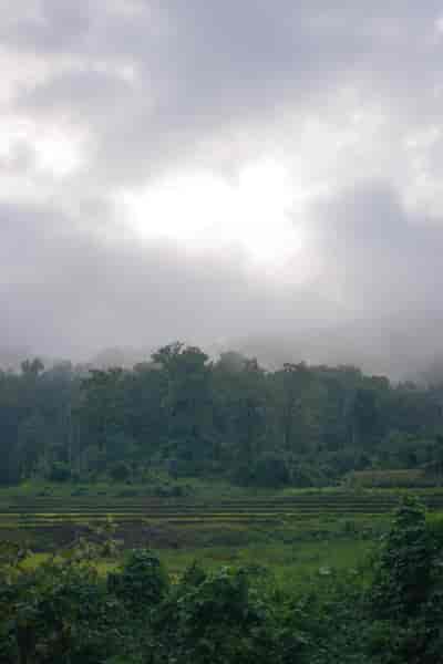 IMG06442