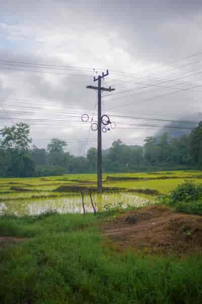 IMG06461
