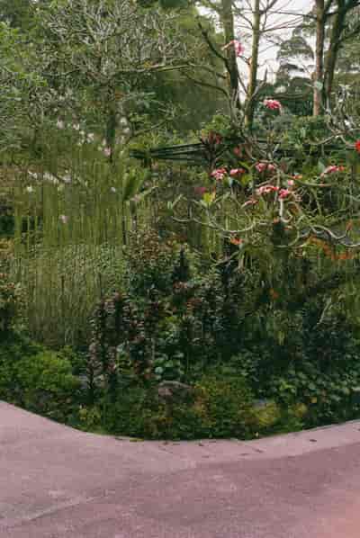001812290023
