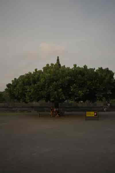IMG07666