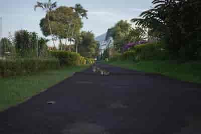 IMG07701