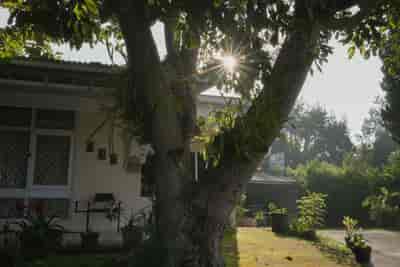 IMG07711