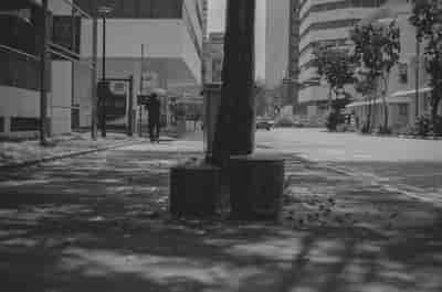000127670031