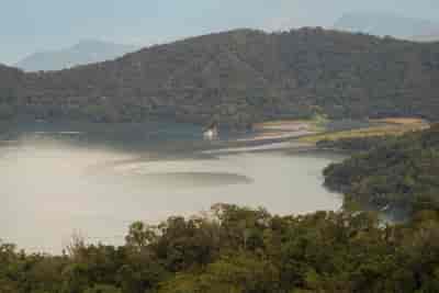 IMG00444