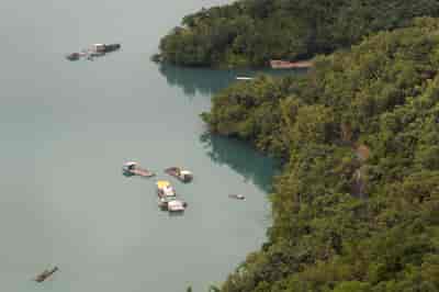IMG00446