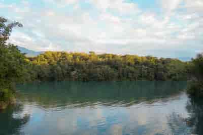 IMG00521