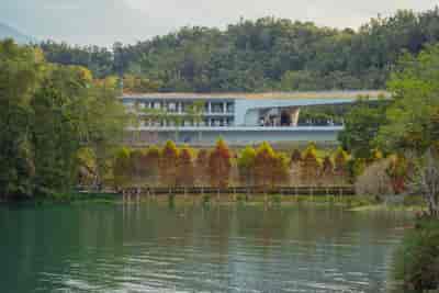 IMG00524