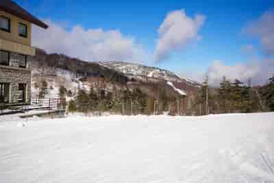 IMG00588