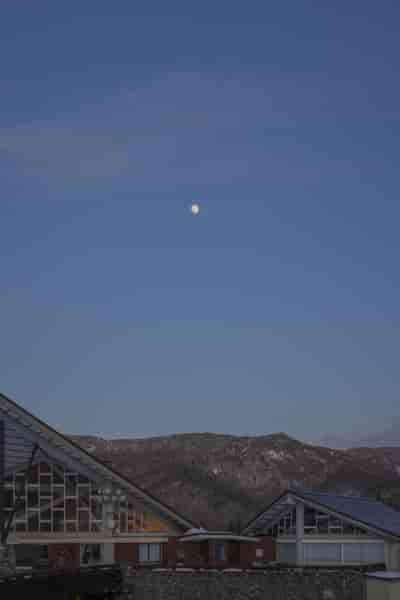 IMG00648