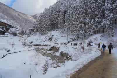 IMG00755