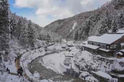 IMG00785