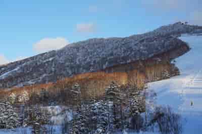 IMG00841