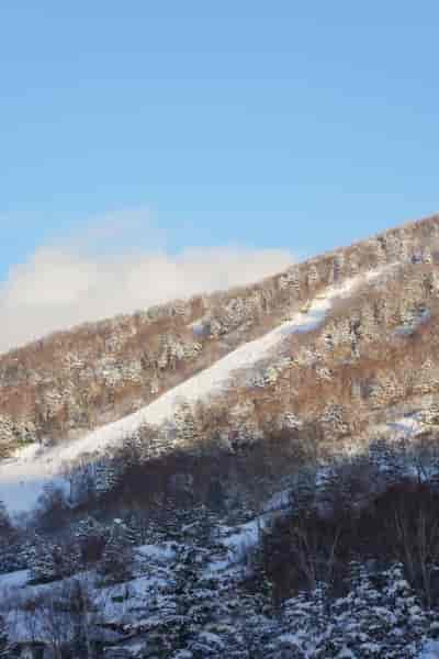 IMG00846