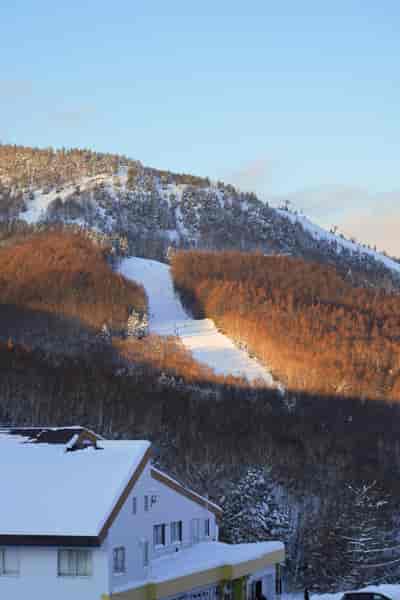 IMG00866