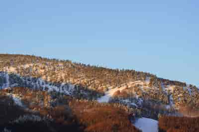 IMG00886