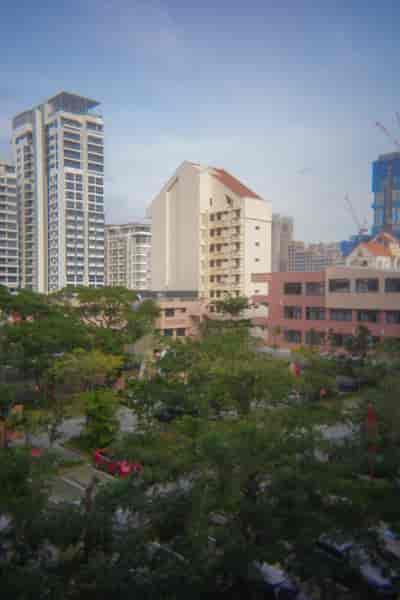 IMG01554