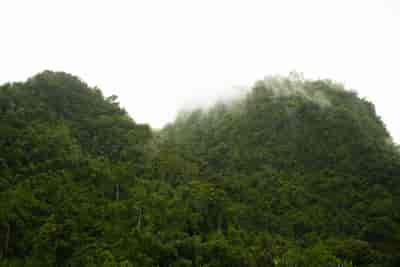 IMG05224