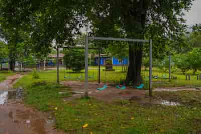 IMG05252