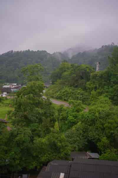 IMG05477
