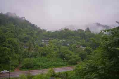 IMG05479